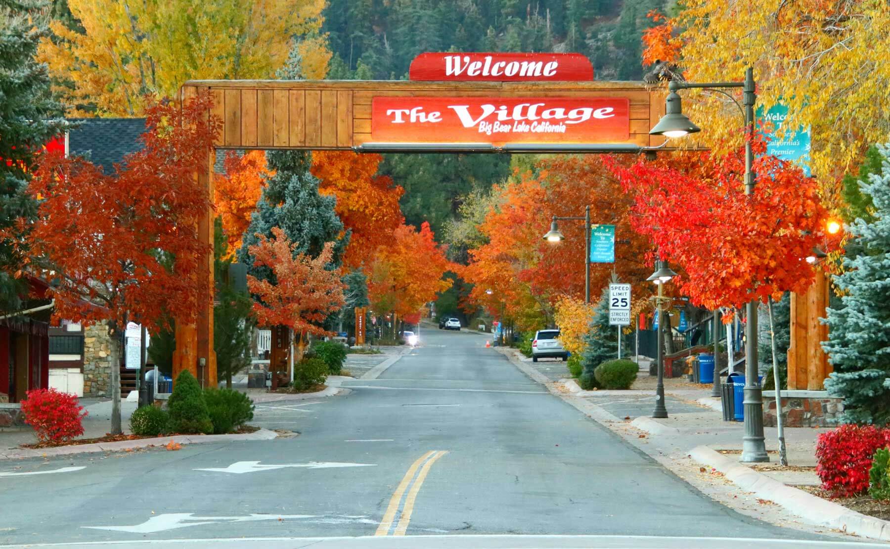 A street in a village with a wooden "Welcome" sign, lined with autumn-colored trees and parked cars, under a clear sky.